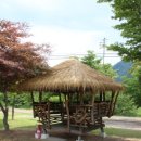 수하리 캠핑파크 이미지