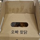오빠통닭풍향점 | [광주 두암동/풍향동/계림동 배달맛집] 옛날 통닭이 땡길 때 '오빠통닭 계림점'