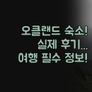 일류익스프레스 | 신축 럭셔리 레지던스까지 3곳 총정리 | 위치부터 조식까지 실제 숙박 후기 | 오클랜드 여행 필수 정보
