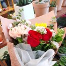 아리차이 이미지