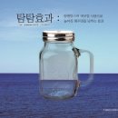 벅스앤탐