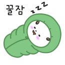 오색장군바위캠핑장 이미지