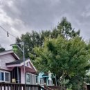 태안 도담빌리지 단체 키즈 갯벌 가족 수영장 이미지