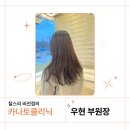 비젼카클리닉 | 평택 손상모 헤어 클리닉 찰스리 헤어샵 우현부원장
