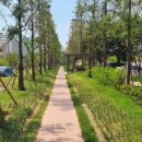 수인선 바람길 숲 이미지