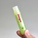 멜론짐 | 다이소 블리스텍스 민트멜론립밤 솔직 후기 (ft. 립 메덱스 비교)