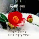 &#34;한양대역에서부터 &#39;중량천·청계천&#39; 일부 걷기&#34;＜2024.01.27(토)＞ 이미지