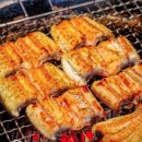 낙동강장어 이미지