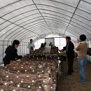 지금 장수농장 이미지