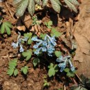 다래산장 이미지