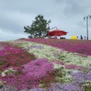 산청 대명사,생초 국제조각공원,허굴산 천불천탑,정취암, 이미지