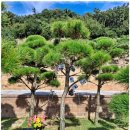 장수남원추어탕(청북점) 이미지