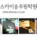스카이윙 이미지