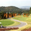 캐슬렉스CC 이미지