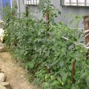 우금1농장 이미지