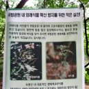 서울YMCA다락원캠프장 이미지