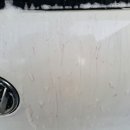 양지카세차장 이미지