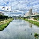 내천농장 | [경기] 안양천 | 들꽃 구경하며 걷기 좋았던 산책로 코스 추천