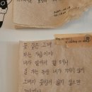 비화실 | 전주 효자동 조용하지만 감성으로 가득 차 있는 냥뷰 카페 "비화실"