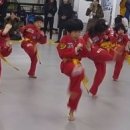 화이트타이거태권도장 이미지