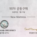 홀리램