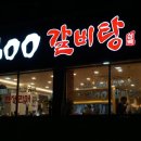 사파동300 이미지