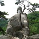 서진주(통영)
