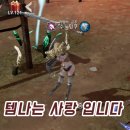 크리모르 | 레볼루션 무과금 만렙 후기
