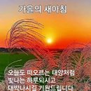 대부해솔길 4코스 이미지