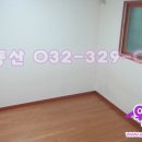 신일아르디세 이미지