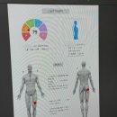 나만의 운동실 | 양천구보건소 별관 건강증진센터 슬링운동 6주 후기 순환운동 프로그램 모집 안내