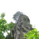 늑대와 여우 이미지