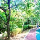 우리동네지역아동센터 이미지