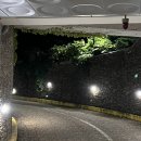 호텔위즈 | 오두산 통일전망대가 보이는 파주위즈호텔 쥬니어 트윈내돈내산 숙박 후기