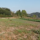 두량6리 이미지