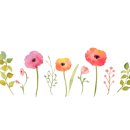 노다지 삼겹살 이미지