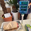 포일농장 이미지