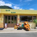집나간피노키오