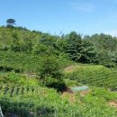 만복농장 이미지