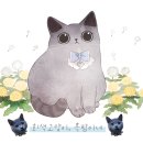 큐티펫살롱 이미지