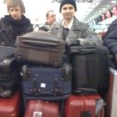 뽀삐뽀삐 이미지