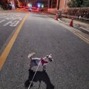 오늘도 방긋