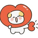 양정태권도 이미지