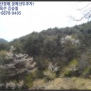 내서읍512 이미지