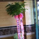 신가메디한방병원 이미지