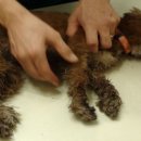 광화문동물병원 이미지