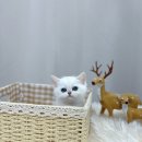 수원-0918 이미지