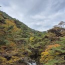 해인사 소리길 이미지