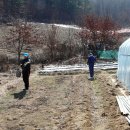 일도 농장 이미지