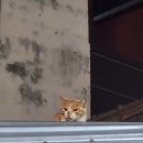 조아옷수선